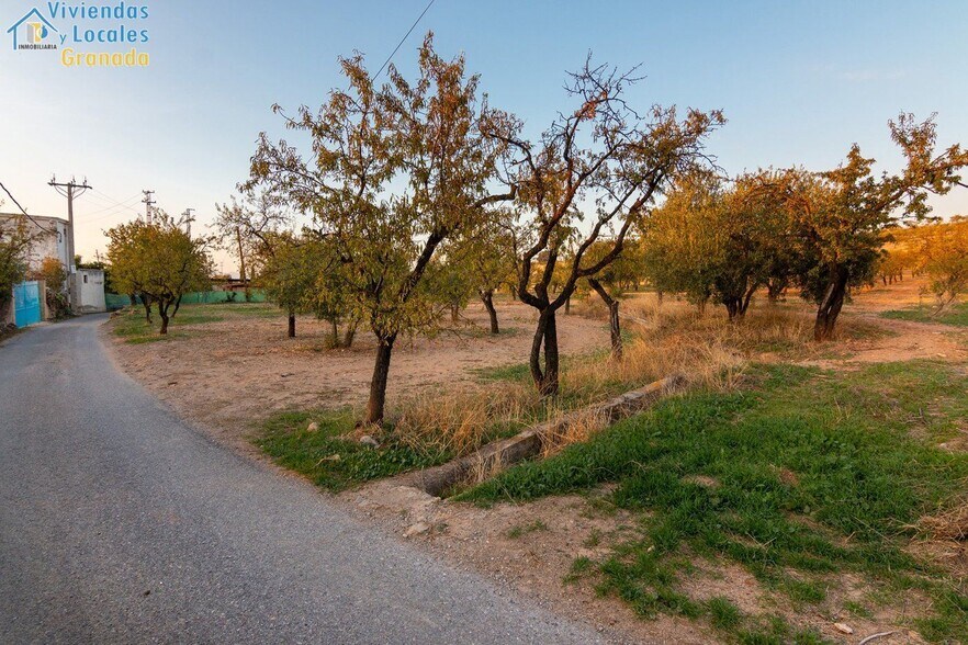 Camino la Zapatera, Gójar, Granada à vendre - Photo principale – Image 1 sur 15