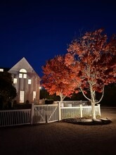 257 County Road 39a, Southampton, NY à louer Photo de l’immeuble– Image 2 sur 13