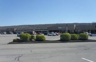 Plus de détails pour 10-40 Village Plz, Dansville, NY - Local commercial, Local d'activités à louer