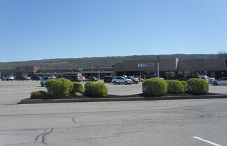 Plus de détails pour 10-40 Village Plz, Dansville, NY - Local commercial, Local d'activités à louer