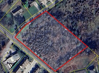 Plus de détails pour 151 Beals Chapel Rd, Lenoir City, TN - Terrain à vendre