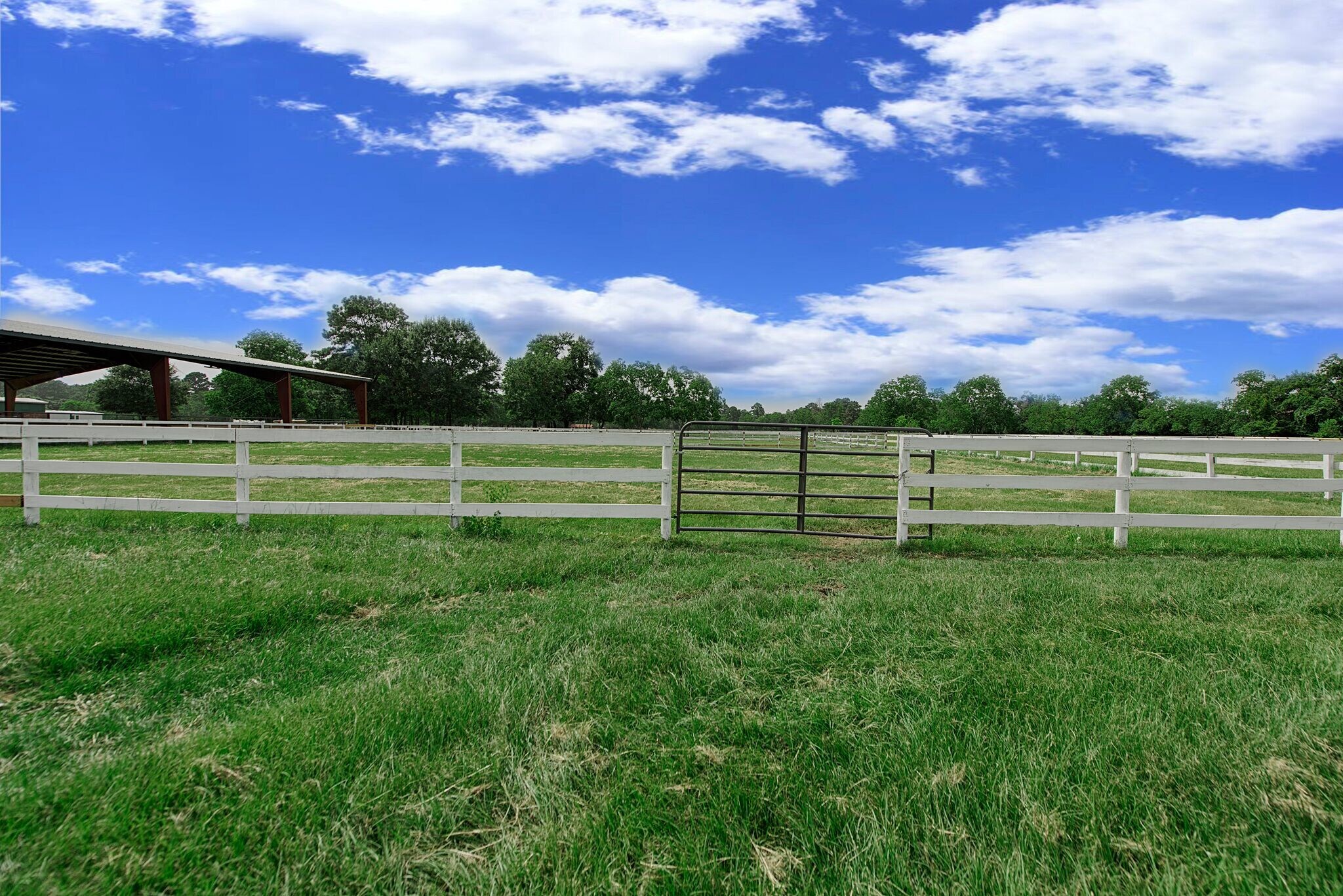 22815 Lain Rd, Spring, TX à vendre Photo de l’immeuble– Image 1 sur 20