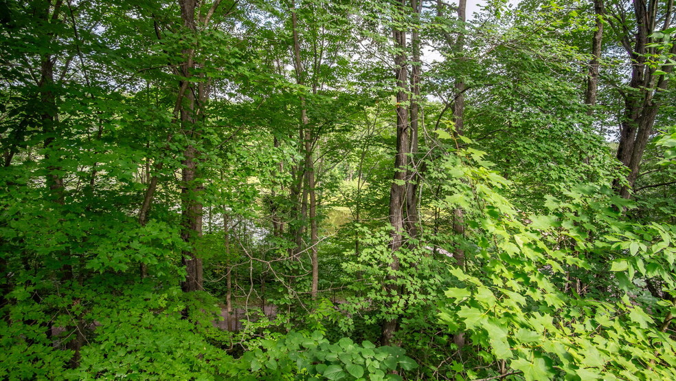 N1107 Roses Resort Rd, Weyerhaeuser, WI à vendre - Photo de l’immeuble – Image 3 sur 91