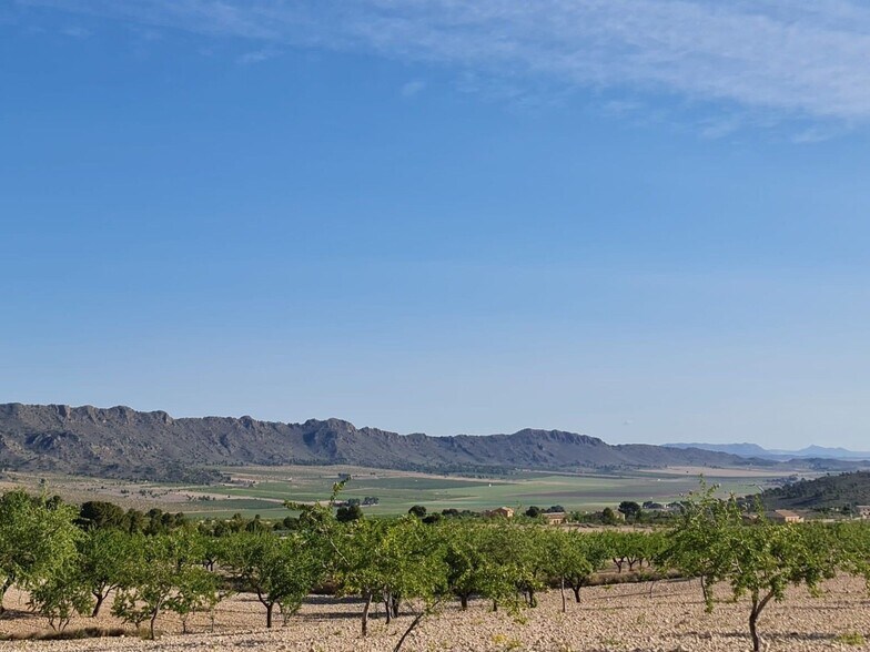 Terrain dans Yecla, Murcia à vendre - Photo principale – Image 1 sur 28