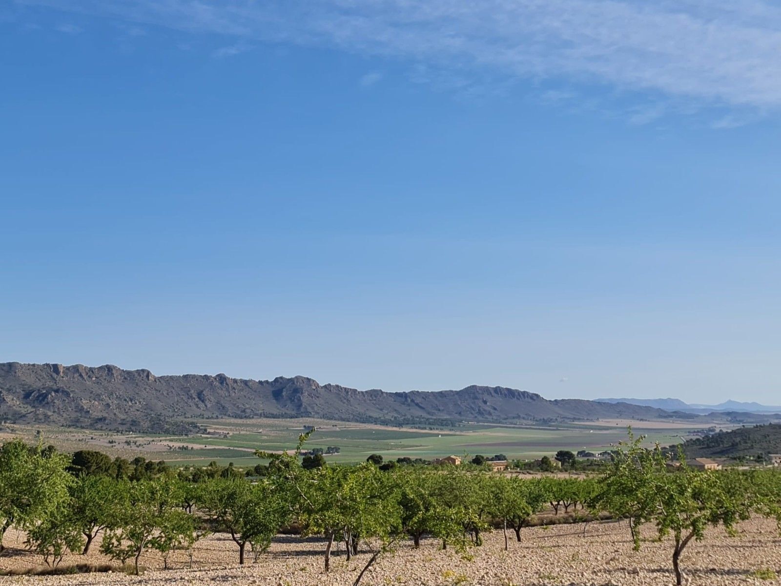 Terrain dans Yecla, Murcia à vendre Photo principale– Image 1 sur 29