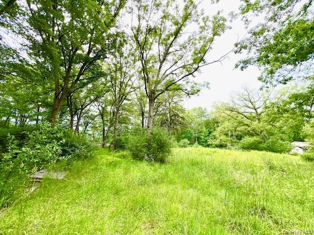 7584 NY-97, Narrowsburg, NY à vendre - Photo de l’immeuble – Image 3 sur 10