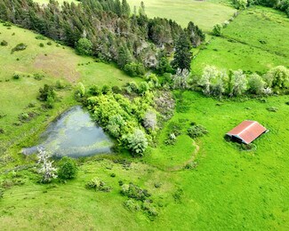 Plus de détails pour 5961 Lookingglass Rd, Roseburg, OR - Terrain à vendre