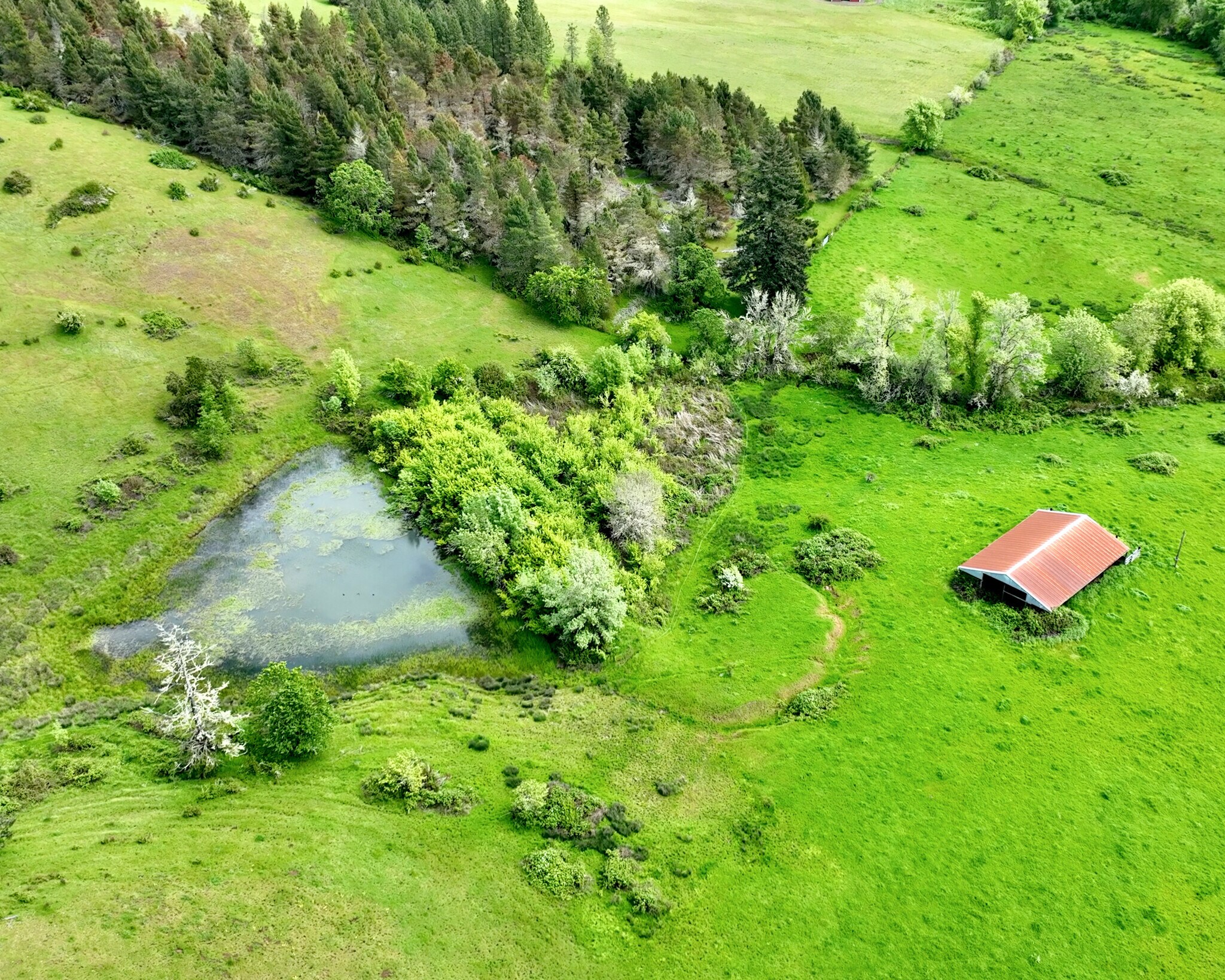 5961 Lookingglass Rd, Roseburg, OR à vendre Photo principale– Image 1 sur 28