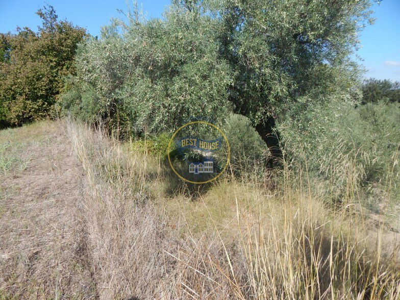 Terrain dans Ontinyent, Valencia à vendre - Photo principale – Image 3 sur 22