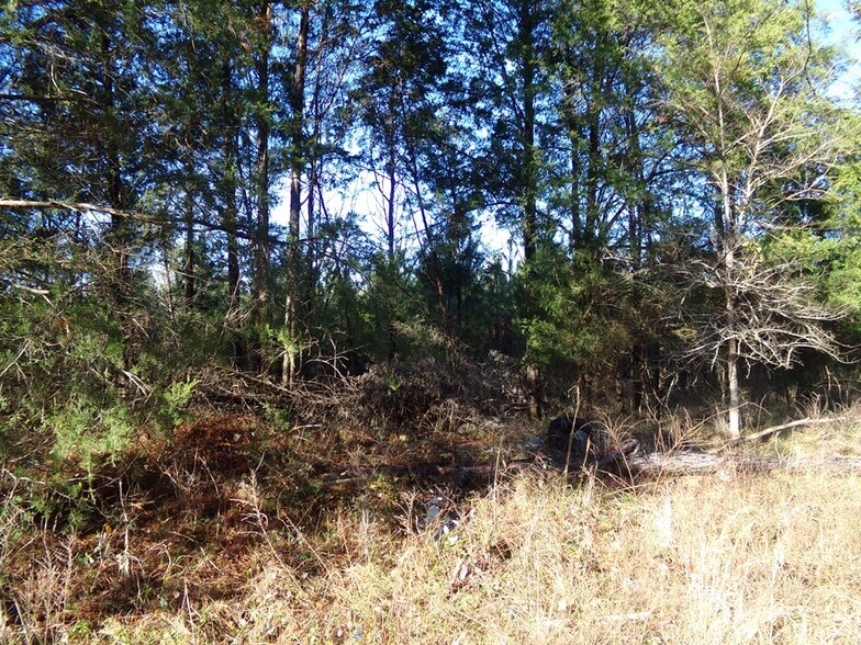 1296 Cedarhurst Road Rd, Chester, SC à vendre - Photo de l’immeuble – Image 3 sur 16