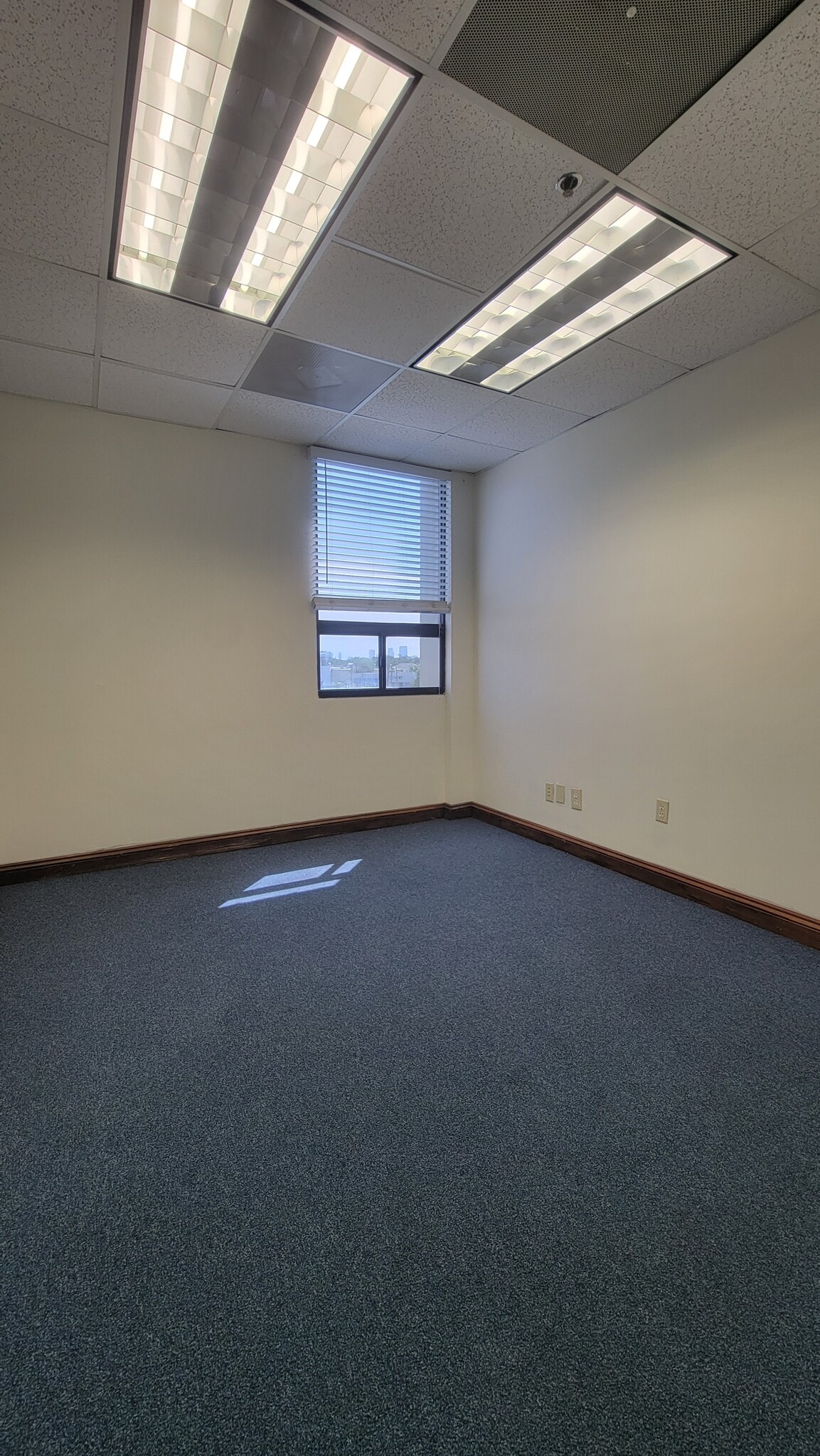 3825 Henderson Blvd, Tampa, FL à louer Photo intérieure– Image 1 sur 4