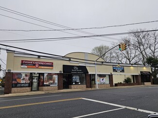 Plus de détails pour 1358-1360 Willis Ave, Albertson, NY - Local commercial à vendre