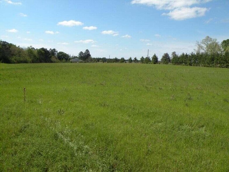 TBD Louisiana 121, Hineston, LA à vendre - Photo de l’immeuble – Image 2 sur 2