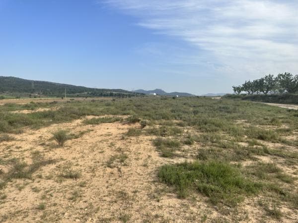 Terrain dans Salinas, Alicante à vendre - Plan de site – Image 3 sur 6