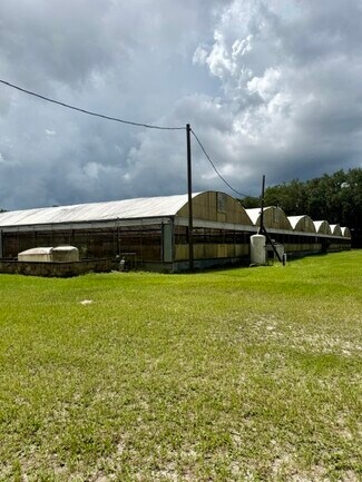 Plus de détails pour 33322 County Road 437, Sorrento, FL - Spécialisé à vendre