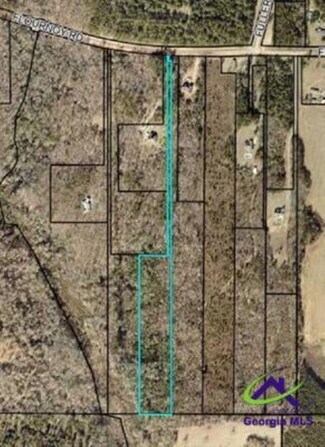 Plus de détails pour Flournoy Road, Hawkinsville, GA - Terrain à vendre
