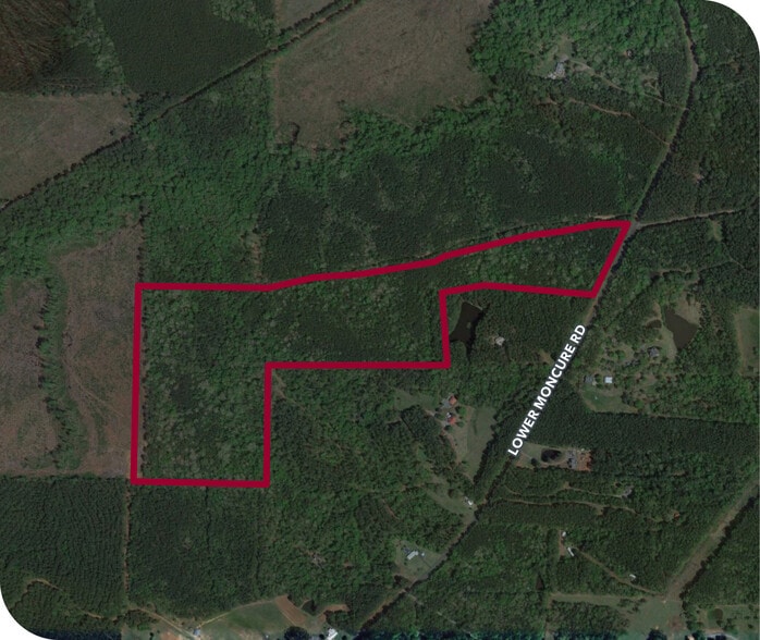 0 Lower Moncure Rd, Osgood, NC à vendre - Aérien – Image 2 sur 2