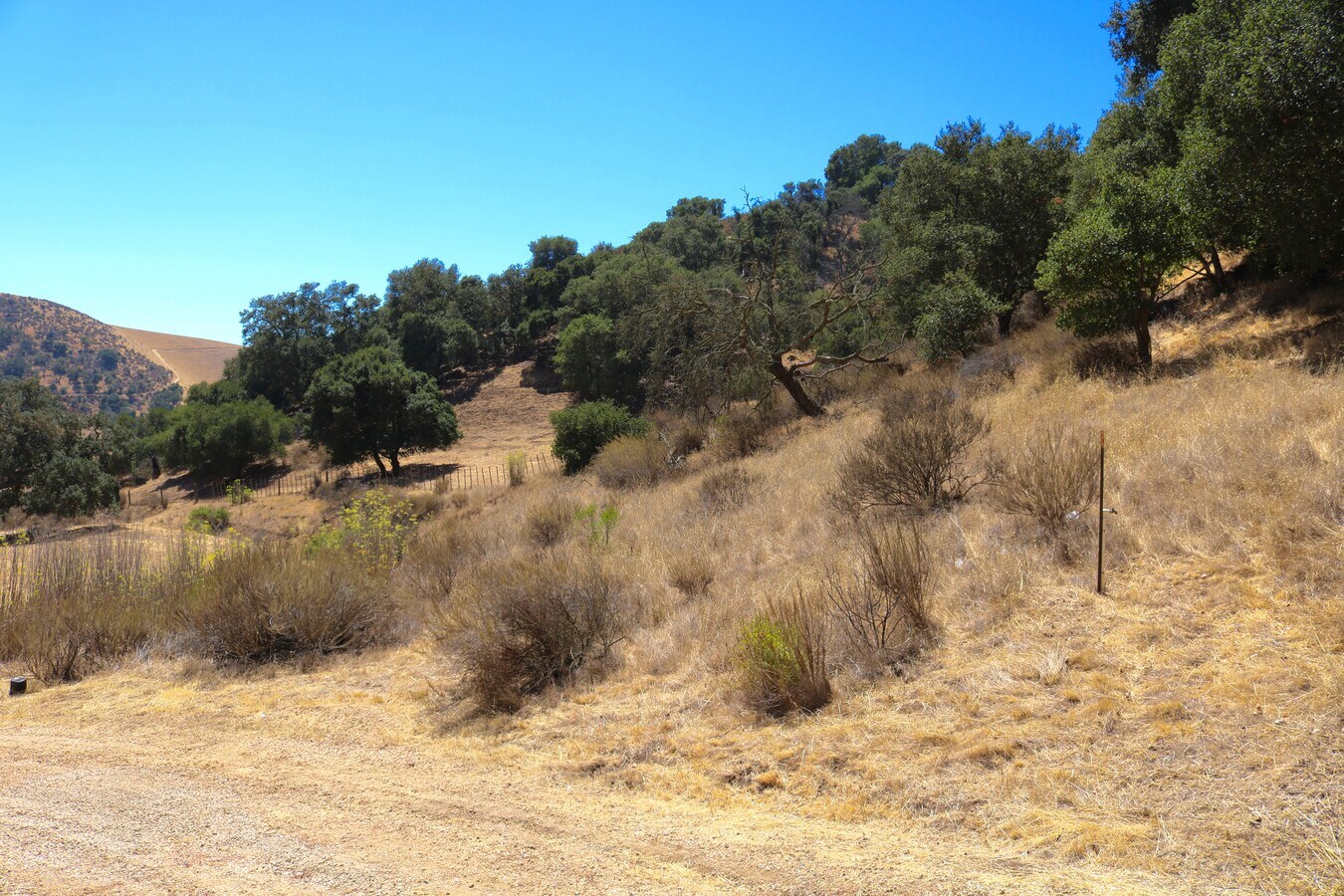View Photo