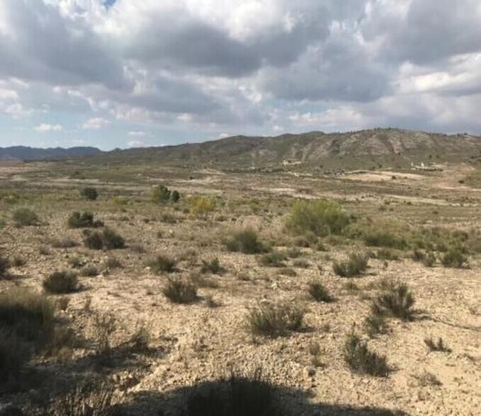 Terrain dans Cieza à vendre - Aérien – Image 3 sur 17