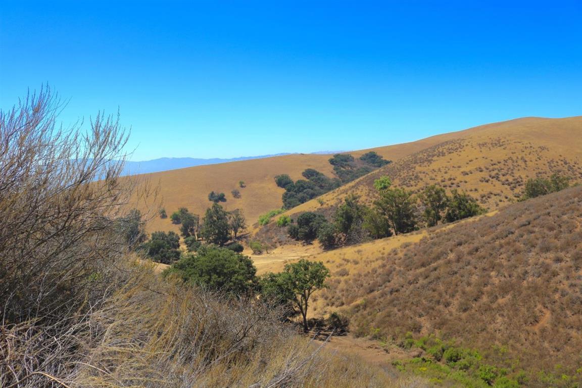 View Photo
