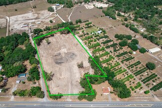 Plus de détails pour S U.S. 301, Sumterville, FL - Terrain à vendre