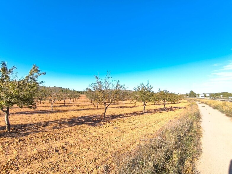 Terrain dans San José, Yecla, Ayuntamiento, MURCIA à vendre - Aérien – Image 2 sur 5