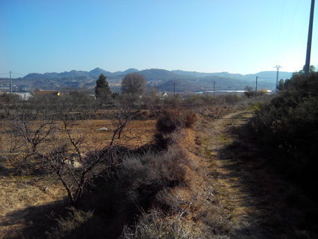 Terrain dans Cehegín, Murcia à vendre - Photo de l’immeuble – Image 1 sur 8
