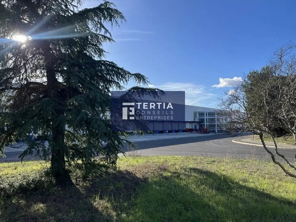 Bureau dans Montpellier à louer Photo de l’immeuble– Image 1 sur 12