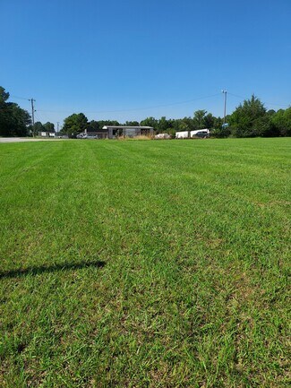Plus de détails pour Old Georgia Hwy, Gaffney, SC - Terrain à vendre