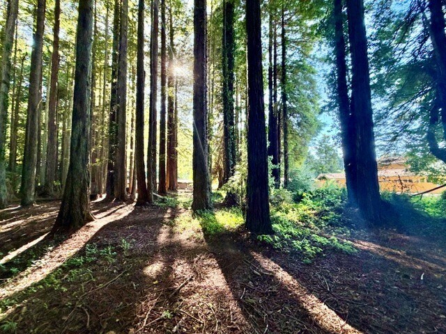 0 Moore Avenue St, Eureka, CA à vendre - Photo de l’immeuble – Image 2 sur 9