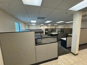 IMG_8368 - Copy