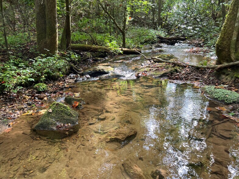 Whitecliff Drive, Ellijay, GA à vendre - Photo de l’immeuble – Image 2 sur 69