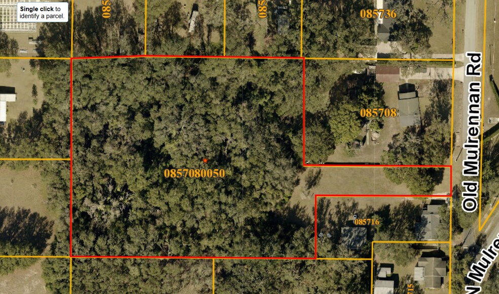 224 Old Mulrennan Rd, Valrico, FL à vendre - Photo principale – Image 1 sur 1