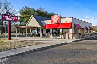 Plus de détails pour 2578 E Chestnut Ave, Vineland, NJ - Local commercial à vendre