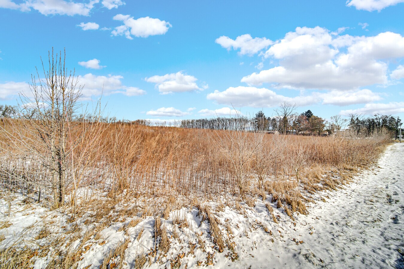 View Photo