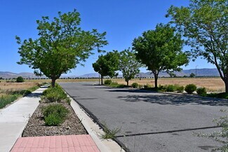 Plus de détails pour 1795 US Hwy 395, Minden, NV - Terrain à vendre