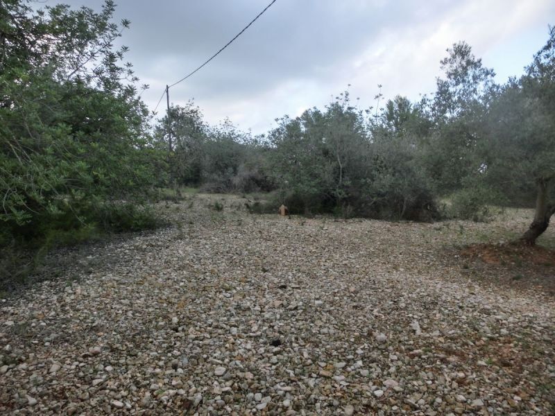 View Photo