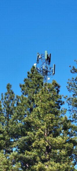 16774 Hinton Dr, Truckee, CA à vendre - Photo de l’immeuble – Image 2 sur 13