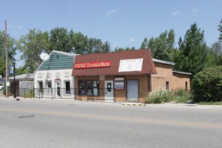 Plus de détails pour 210 Lake St, Crystal, MI - Local commercial à vendre