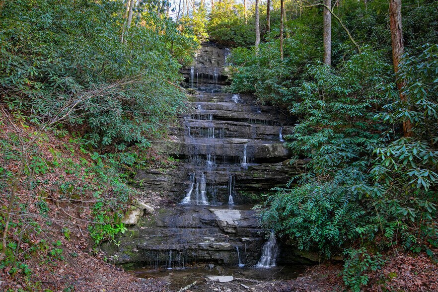 151 Everett Rd, Pisgah Forest, NC à vendre - Photo de l’immeuble – Image 2 sur 13