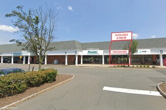 Plus de détails pour 295-335 Princeton Hightstown Rd, West Windsor, NJ - Bureau/Local commercial à louer