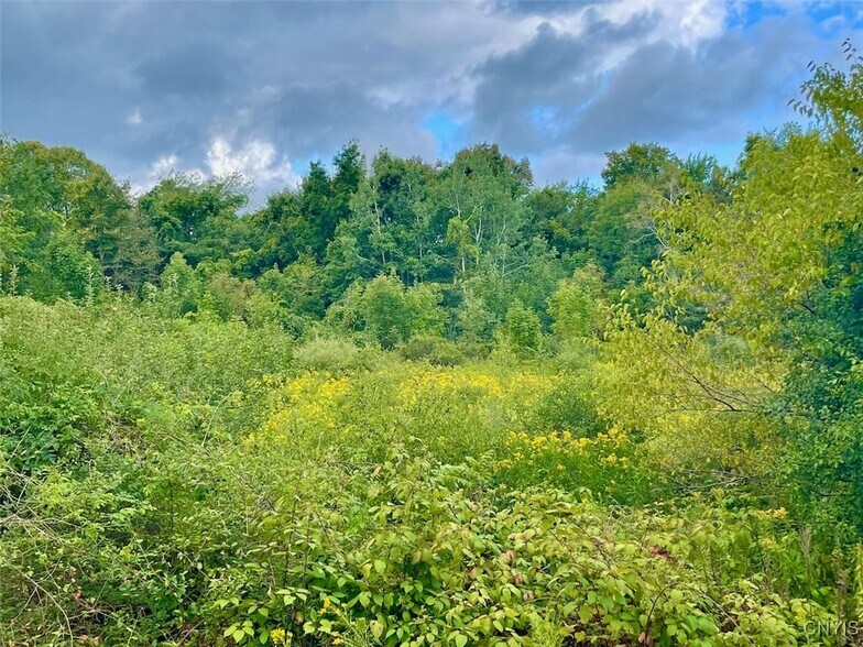 Maiden Lane Rd, Oswego, NY à vendre - Photo de l’immeuble – Image 3 sur 8