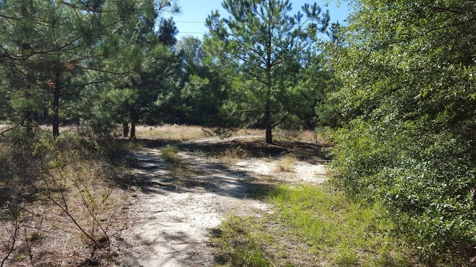 0 Silver Bluff Rd, Aiken, SC à vendre - Photo de l’immeuble – Image 2 sur 5