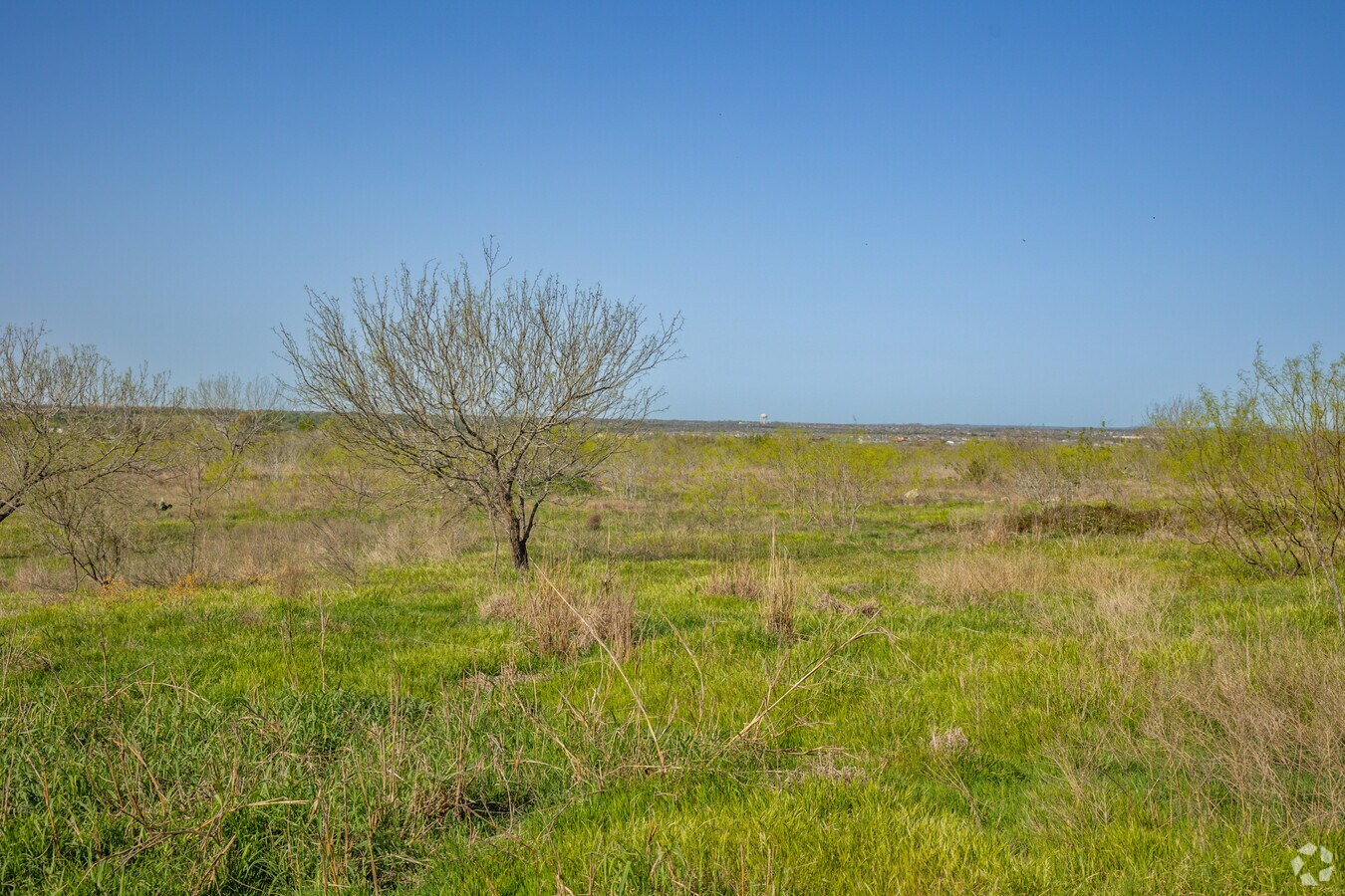 View Photo