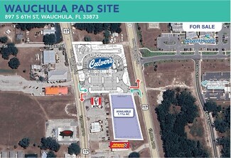 Plus de détails pour 897 S 6th Ave, Wauchula, FL - Terrain à vendre