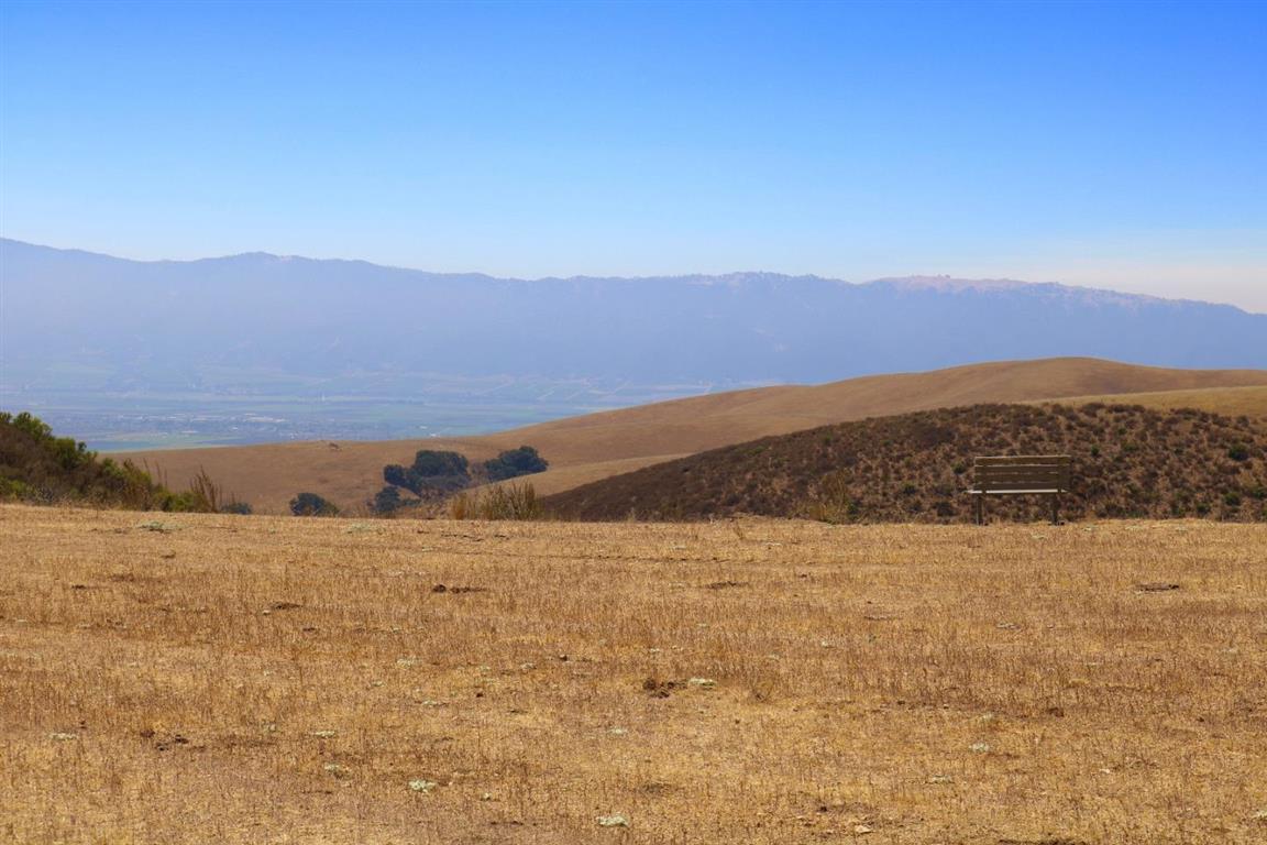View Photo