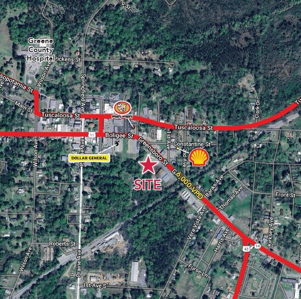 206 Greensboro St, Eutaw, AL à louer - Photo de l’immeuble – Image 2 sur 2