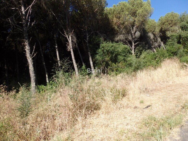 Terrain dans Córdoba à vendre - Plan de site – Image 2 sur 7