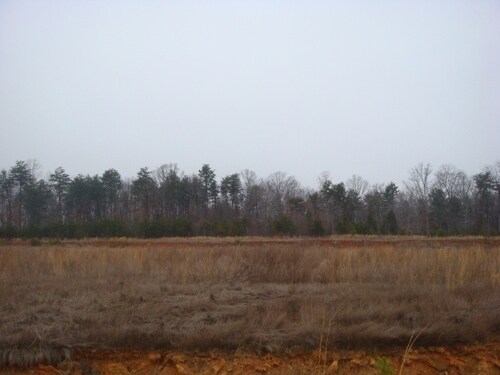 Lot 2 Balsom Ridge Rd, Denver, NC à vendre - Photo principale – Image 2 sur 2