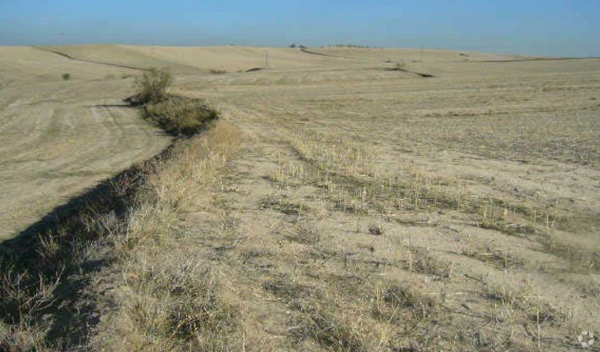 Terrain dans Moraleja de Enmedio, Madrid à vendre Photo principale– Image 1 sur 9